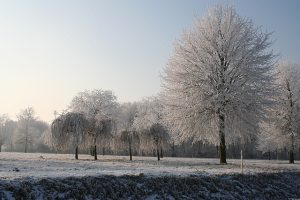 Winter Golf Fitness Conditioning