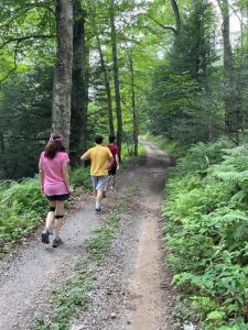Walking Trail In Fairfield County Connecticut