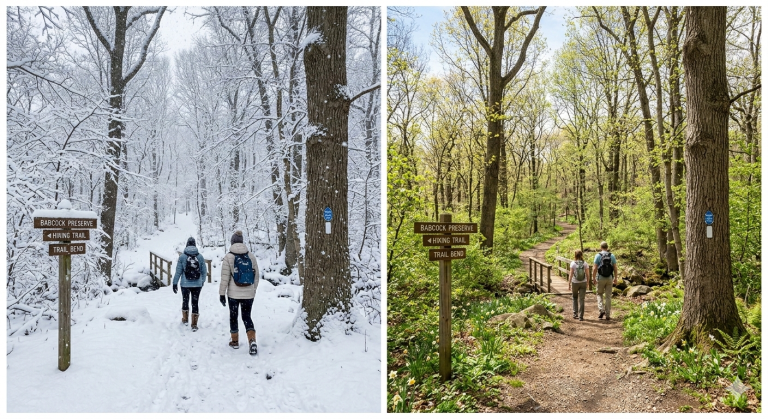 Babcock Preserve Hiking Trail